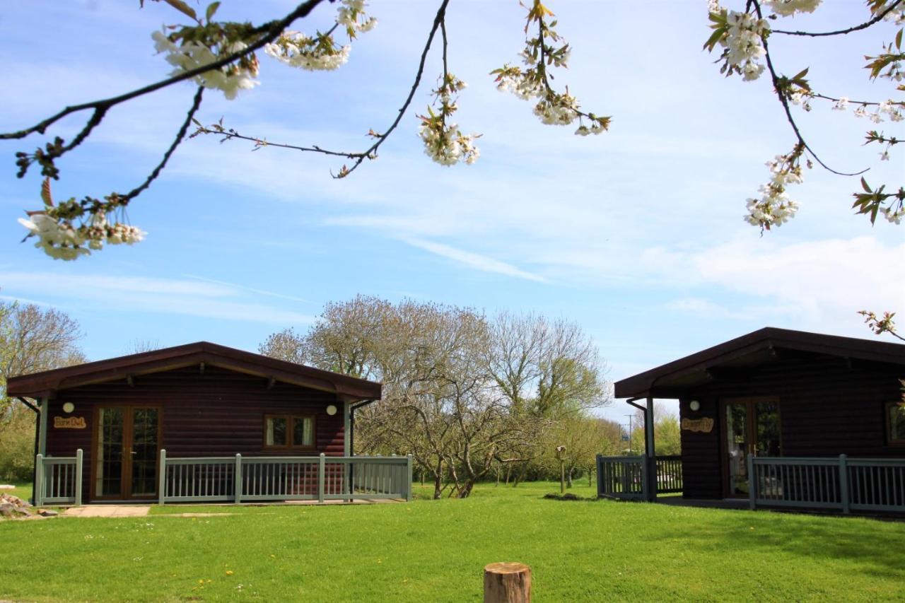 Wall Eden Farm - Luxury Log Cabins And Glamping Highbridge Kültér fotó